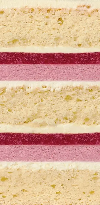 Vanilie Plombir Căpșună